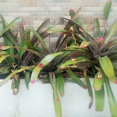Homestay Bumi Asri III Cikutra Bandung Exteriör bild
